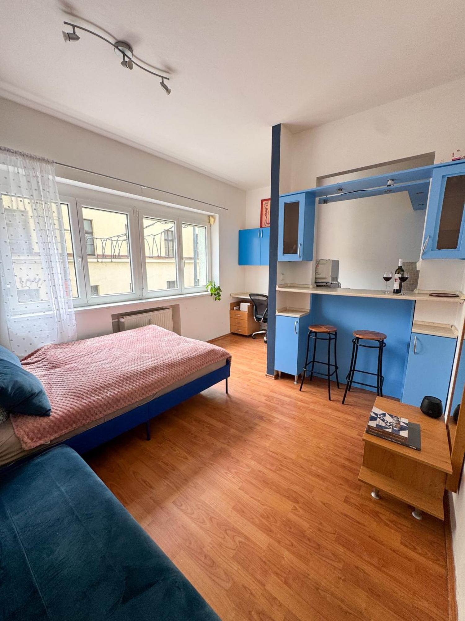 Old Town Cozy Studio In City Center Μπρατισλάβα Εξωτερικό φωτογραφία